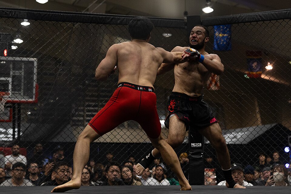 Illustration: Advanced Trading Strategies for MMA Props