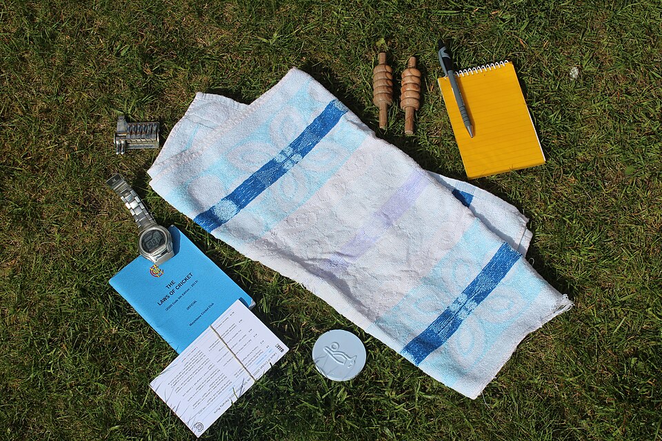 Illustration: Cricket-Specific Statistical Models for Contract Prediction Accuracy Illustration: Cricket-Specific Statistical Models for Contract Prediction Accuracy