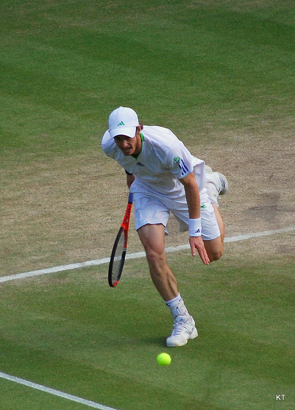 Illustration: Current Wimbledon 2026 Men's Final Prediction Market Prices and Implied Probabilities Illustration: Current Wimbledon 2026 Men's Final Prediction Market Prices and Implied Probabilities