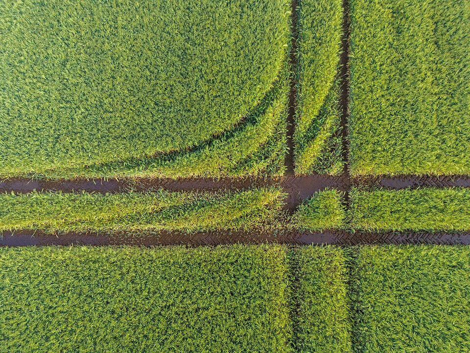 Illustration: From La Niña to El Niño: Why 2026 Weather Volatility Creates Contract Opportunities Illustration: From La Niña to El Niño: Why 2026 Weather Volatility Creates Contract Opportunities