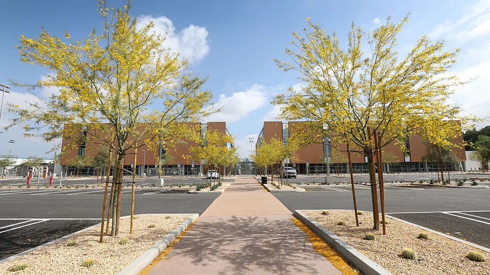 Illustration: Geographical League Diversification — NFL, NBA, Soccer, and International Markets Illustration: Geographical League Diversification — NFL, NBA, Soccer, and International Markets