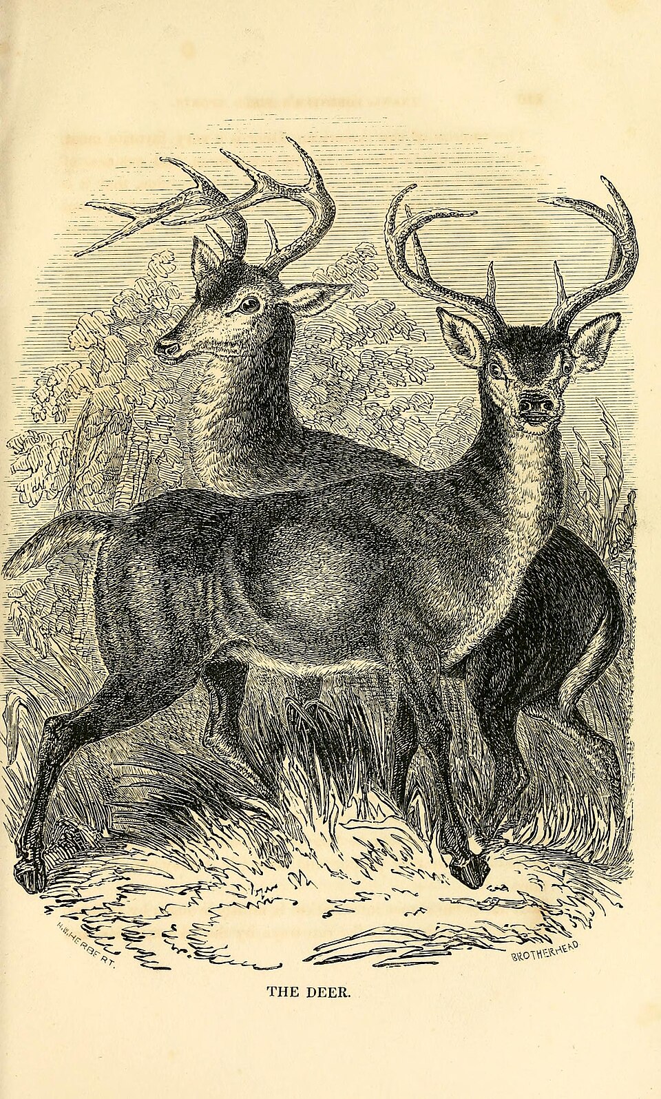 Illustration: How Federal CFTC Oversight Creates 50-State Access