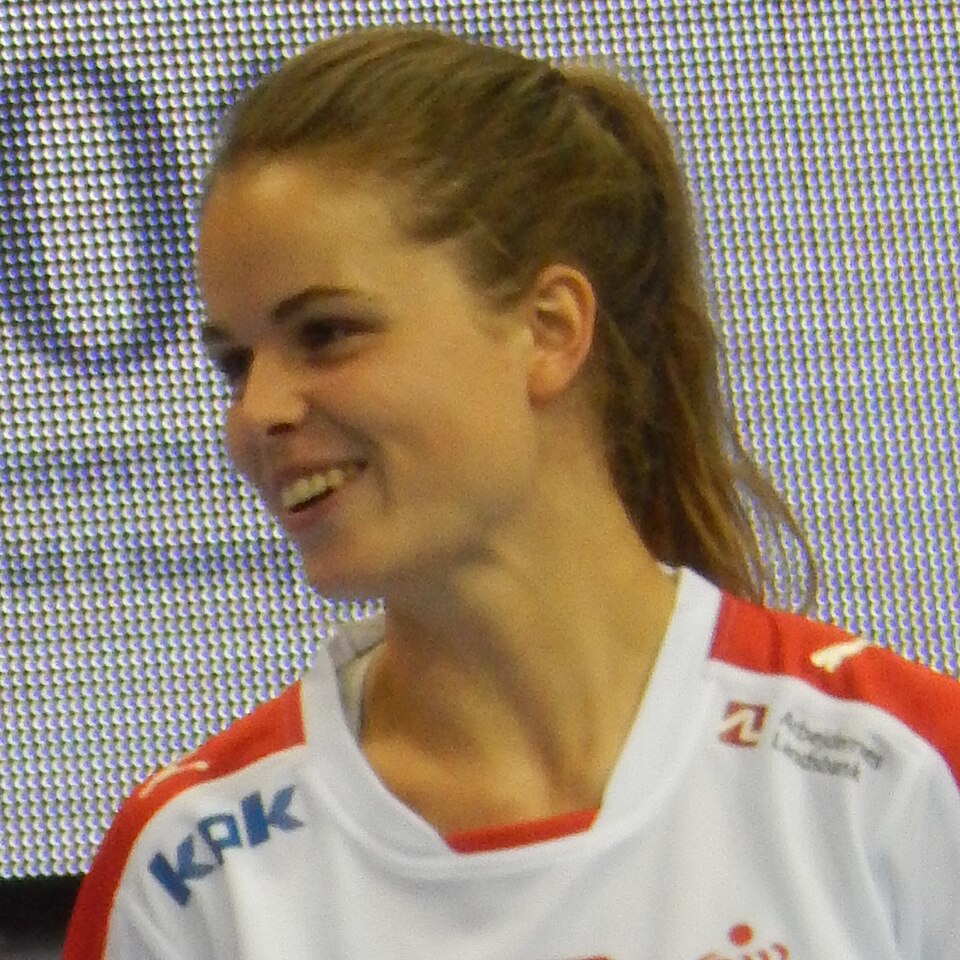 Illustration: How to Get Started with Handball Championship Trading Illustration: How to Get Started with Handball Championship Trading