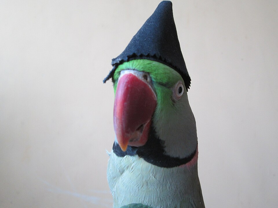 Illustration: Liquidity Patterns Across Tournaments and Formats Illustration: Liquidity Patterns Across Tournaments and Formats