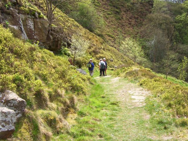 Illustration: Platform Selection Matrix: Which Platform Fits Your Trading Style?