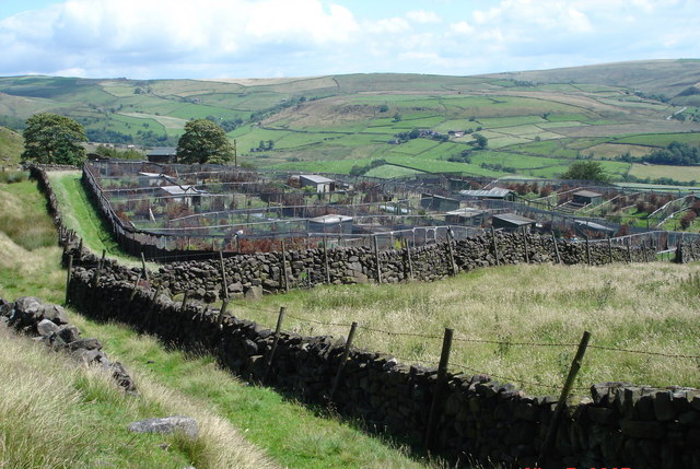 Illustration: Practical Implementation: Step-by-Step Portfolio Integration Illustration: Practical Implementation: Step-by-Step Portfolio Integration