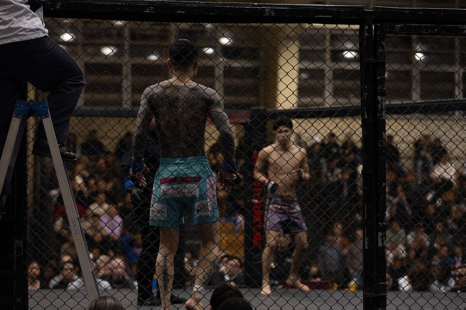 Illustration: Risk Management and Bankroll Strategies