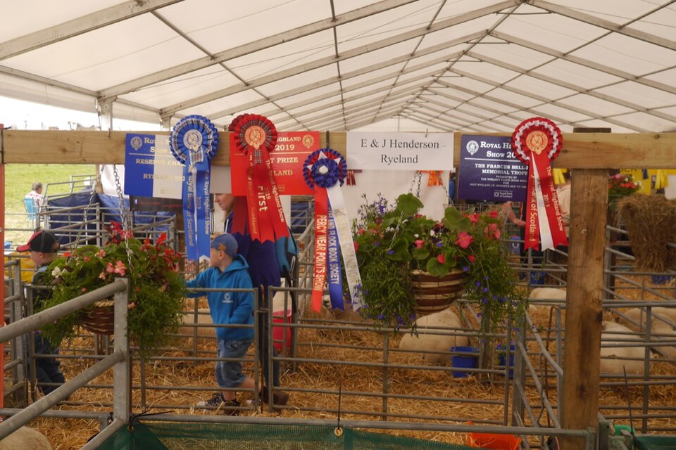 Illustration: Technical Categories Offer Hidden Mispricing Opportunities Illustration: Technical Categories Offer Hidden Mispricing Opportunities