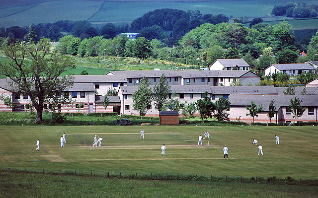 Illustration: What's Next: Advanced Cricket Trading Techniques Illustration: What's Next: Advanced Cricket Trading Techniques