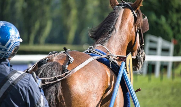 Kentucky Derby 2026 Prediction Trading: Platform Strategies