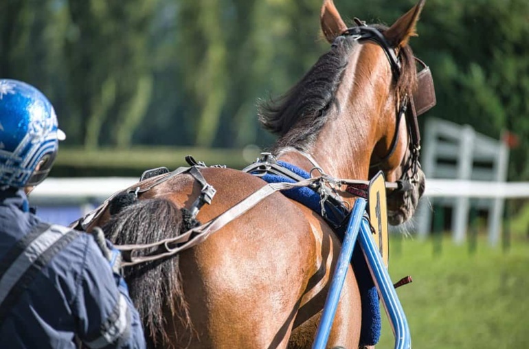 Kentucky Derby 2026 Prediction Trading: Platform Strategies