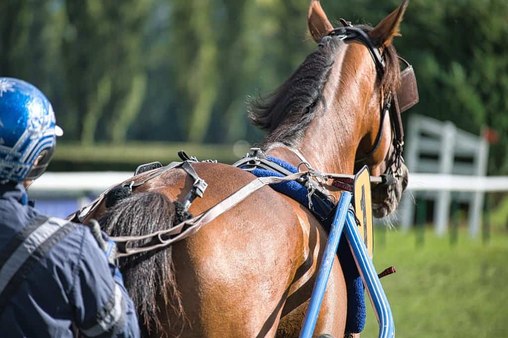 Kentucky Derby 2026 Prediction Trading: Platform Strategies