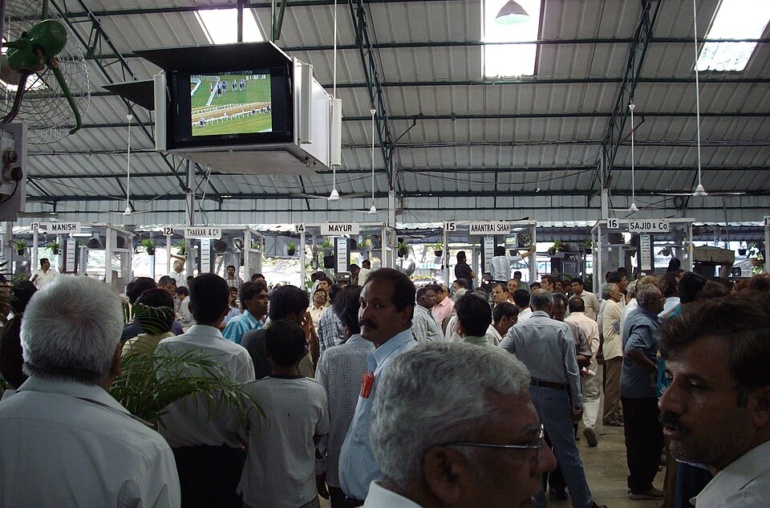 Illustration: How Sports Betting Market Microstructure Differs from Financial Markets