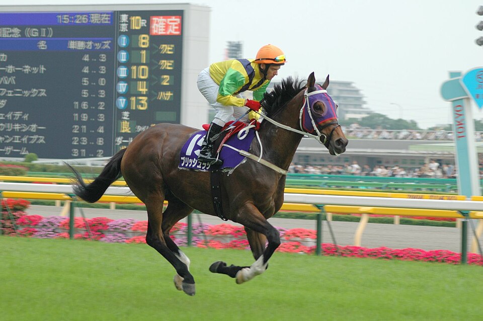 Illustration: How to Get Started with Sports Betting Analytics Software Illustration: How to Get Started with Sports Betting Analytics Software