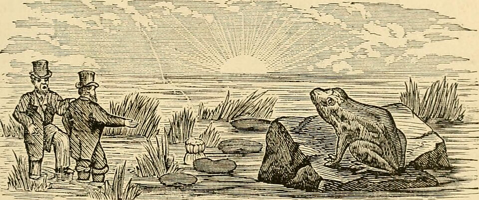 Illustration: Top 3 Odds Comparison Tools for Professional Bettors